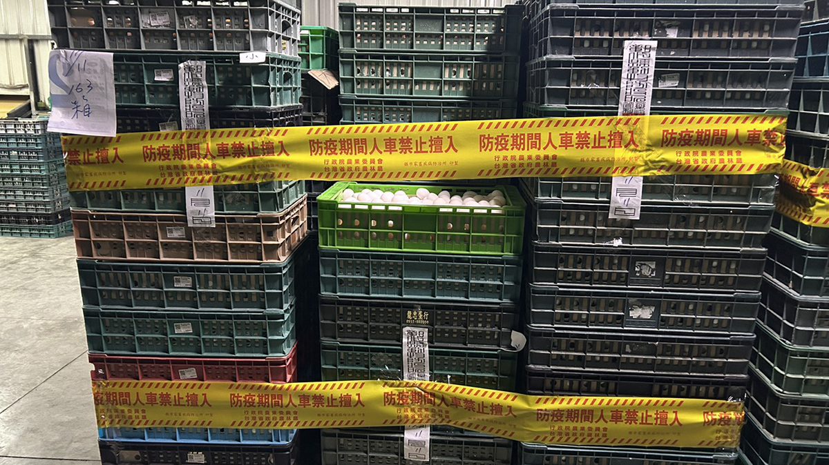 彰化蛋品驗出禁藥芬普尼　縣府啟動封場管制