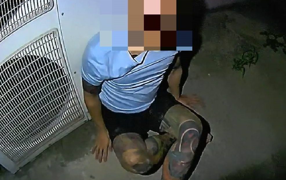 通緝犯遇警盤查趁機逃離          何叡棋不辱使命逮獲歸案