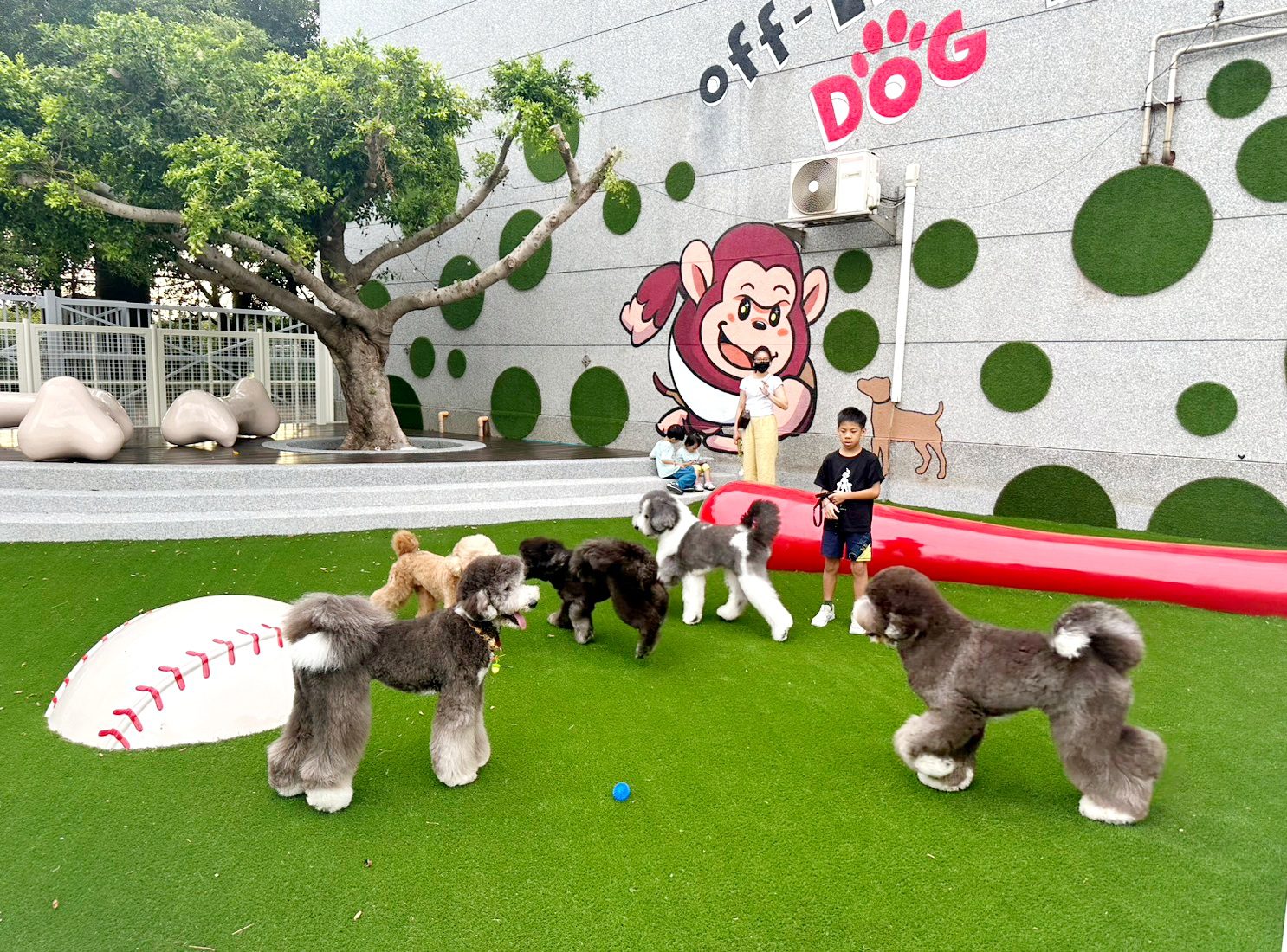 樂天桃園球場「毛孩跑跳區」限時免費開放 首波試辦日期曝 樂天桃園球場「毛孩跑跳區」限時免費開放 首波試辦日期曝