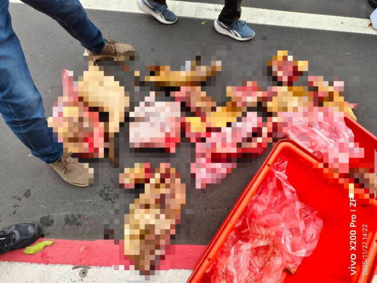 越南籍逃逸移工疑賣狗肉　竹縣動保所查扣43公斤不明肉品