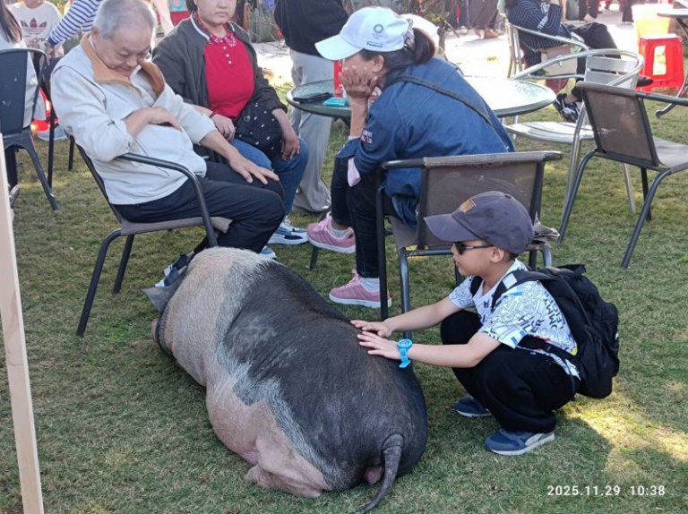 竹縣烏魚節今登場 吸引民眾慢行漁村一探食魚教育文化 竹縣烏魚節今登場 吸引民眾慢行漁村一探食魚教育文化