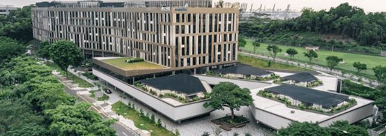 量子與AI企業冒名詐騙升溫　多國科技主管被假借名義　產業示警：技術名詞成新型詐騙話術