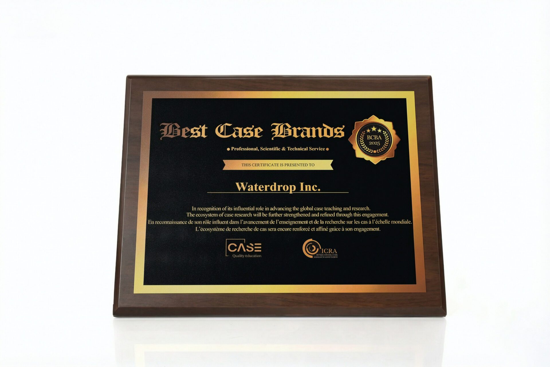 水滴公司獲2025全球最佳案例品牌獎 堅持科技創新賦能普惠保障 水滴公司獲2025全球最佳案例品牌獎 堅持科技創新賦能普惠保障