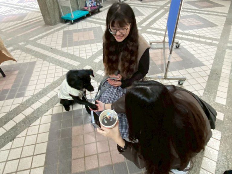 元培舉辦身心障礙體驗活動 從理解到共融營造友善校園 元培舉辦身心障礙體驗活動 從理解到共融營造友善校園