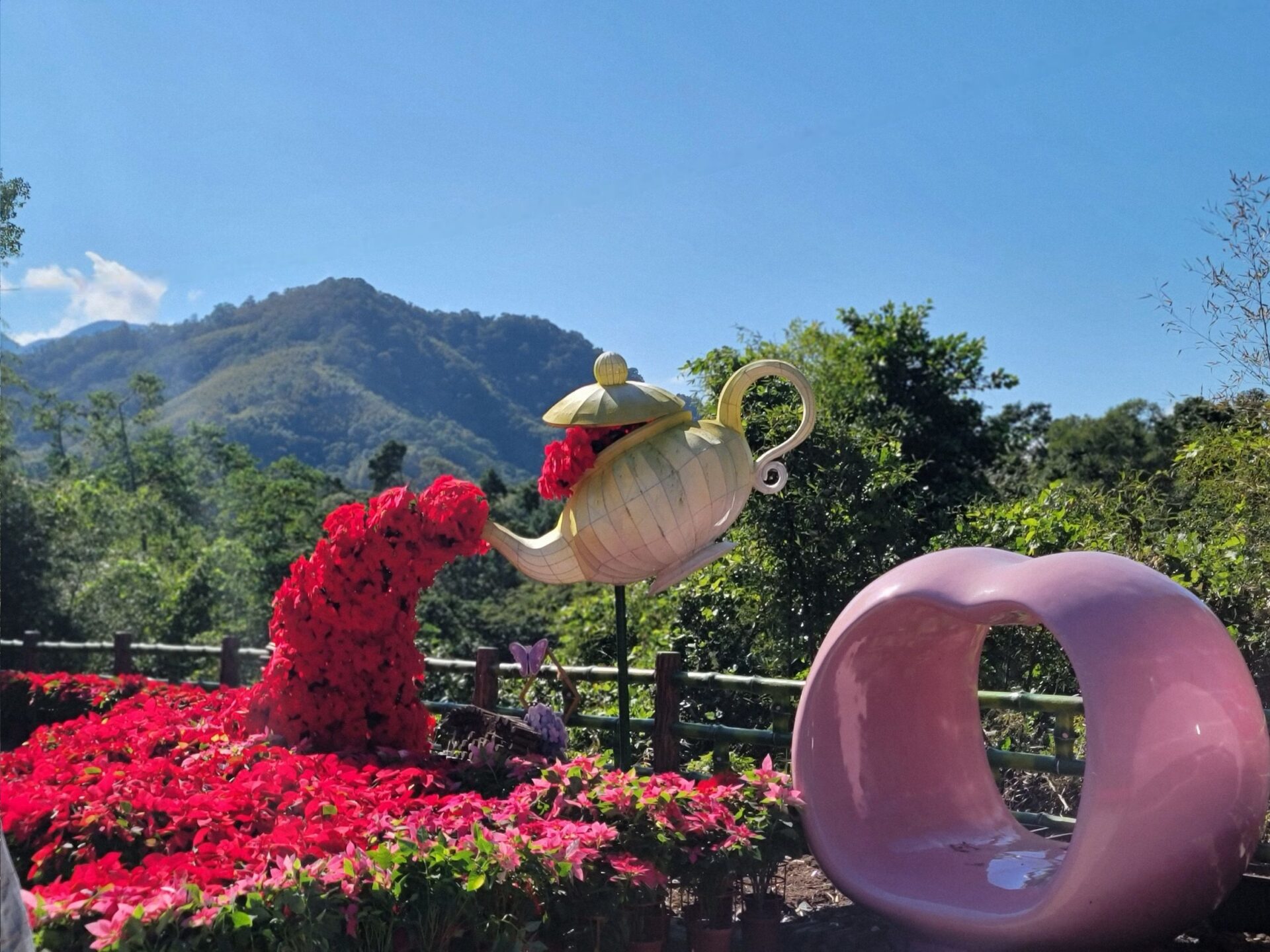 復興「紅花綠橘購樂趣」登場 農遊體驗帶來冬日節慶亮點