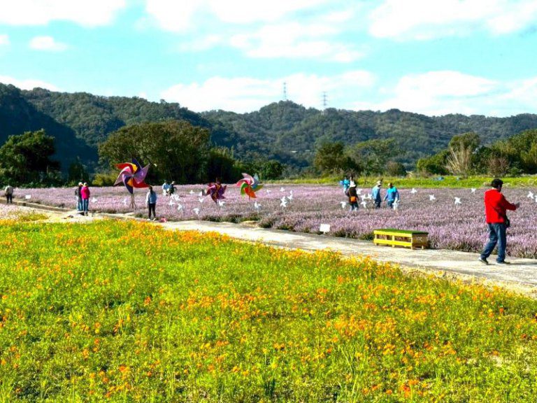 冬季限定農遊花季盛典　關西仙草節今浪漫登場