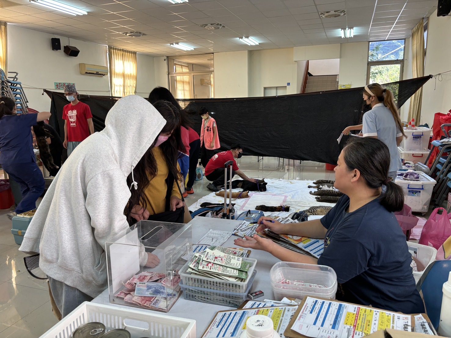 公私協力守護偏鄉毛孩!台中偏區犬貓絕育48場次圓滿落幕、2,928隻受惠 公私協力守護偏鄉毛孩!台中偏區犬貓絕育48場次圓滿落幕、2,928隻受惠