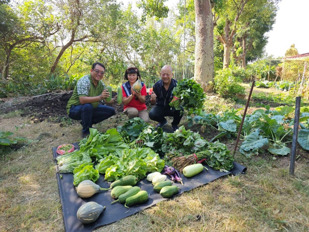 大肚清潔隊閒置空地變菜園 農作豐收助弱勢家庭 大肚清潔隊閒置空地變菜園 農作豐收助弱勢家庭