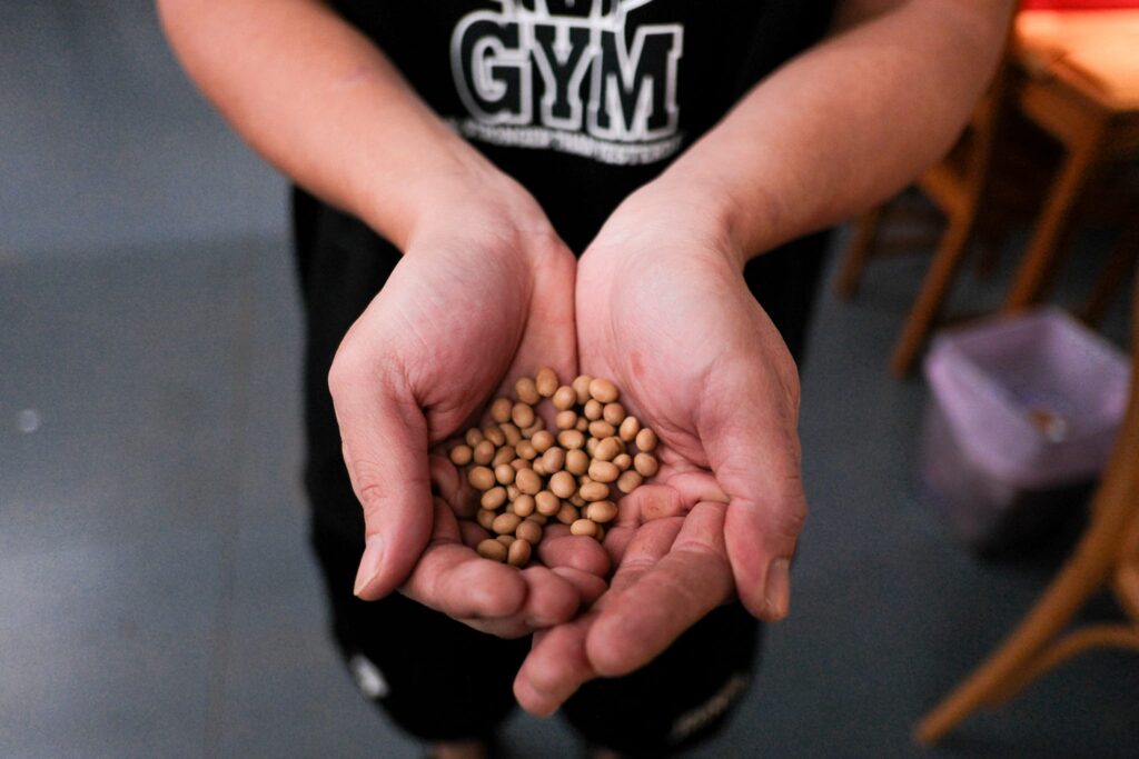 低卡、減糖趨勢席捲鹿港!這家「豆漿蛋糕」如何透過食物攝影,打造健康系古早味蛋糕推薦新標竿? 低卡、減糖趨勢席捲鹿港!這家「豆漿蛋糕」如何透過食物攝影,打造健康系古早味蛋糕推薦新標竿?