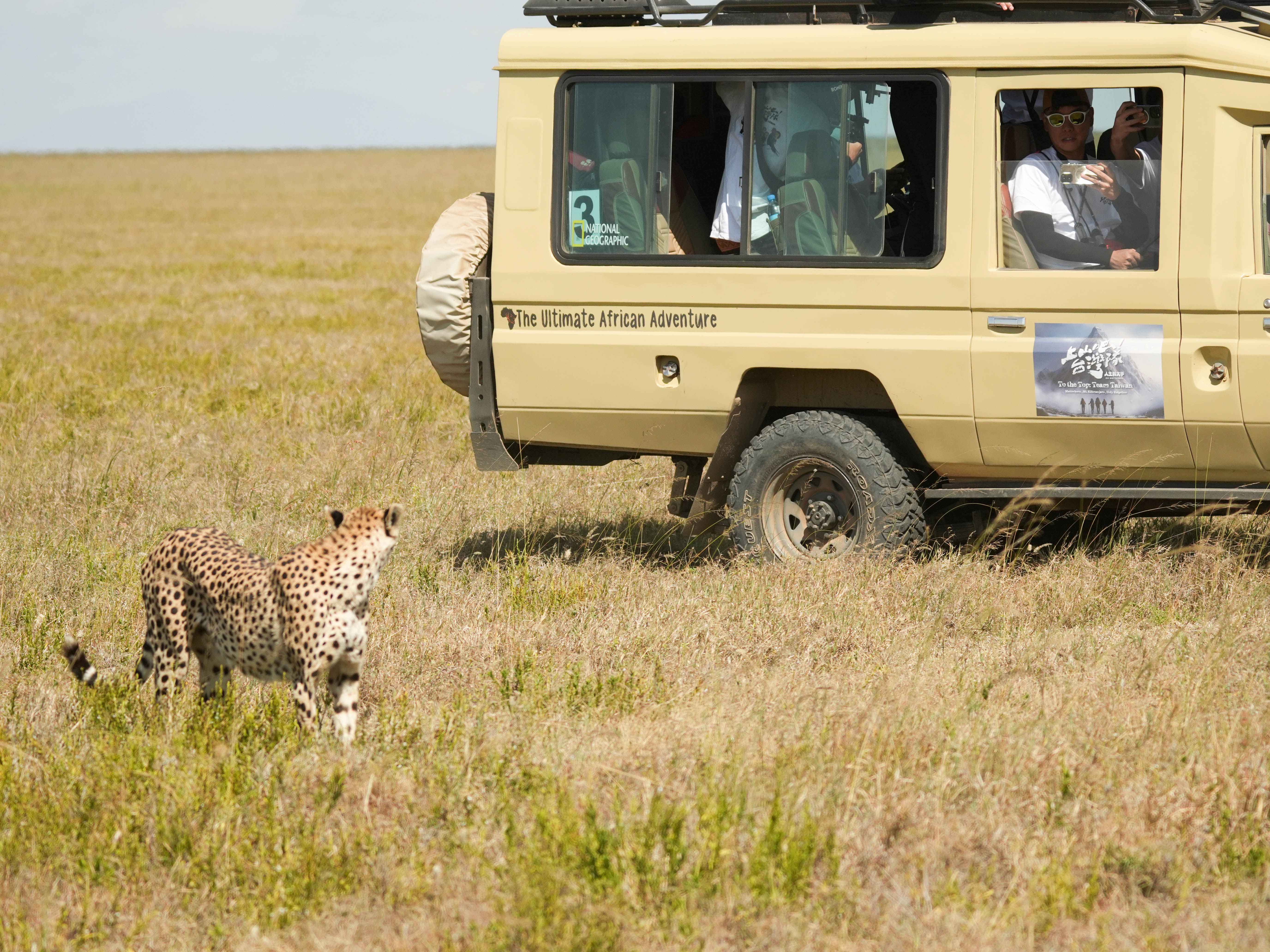 非洲篇震撼登場與獅子 獵豹 鬣狗比鄰而居 大草原景色激動落淚 非洲篇震撼登場與獅子 獵豹 鬣狗比鄰而居 大草原景色激動落淚