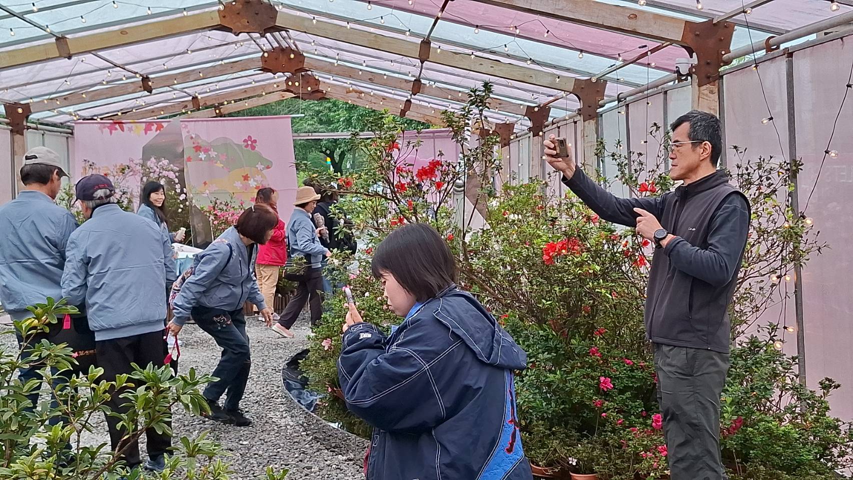 今年花展最大亮點之一，是於金山展區復刻全臺唯一的「杜鵑美術館」，展出超過 30 種珍稀與特色杜鵑品項，讓民眾能近距離欣賞杜鵑多樣風貌。