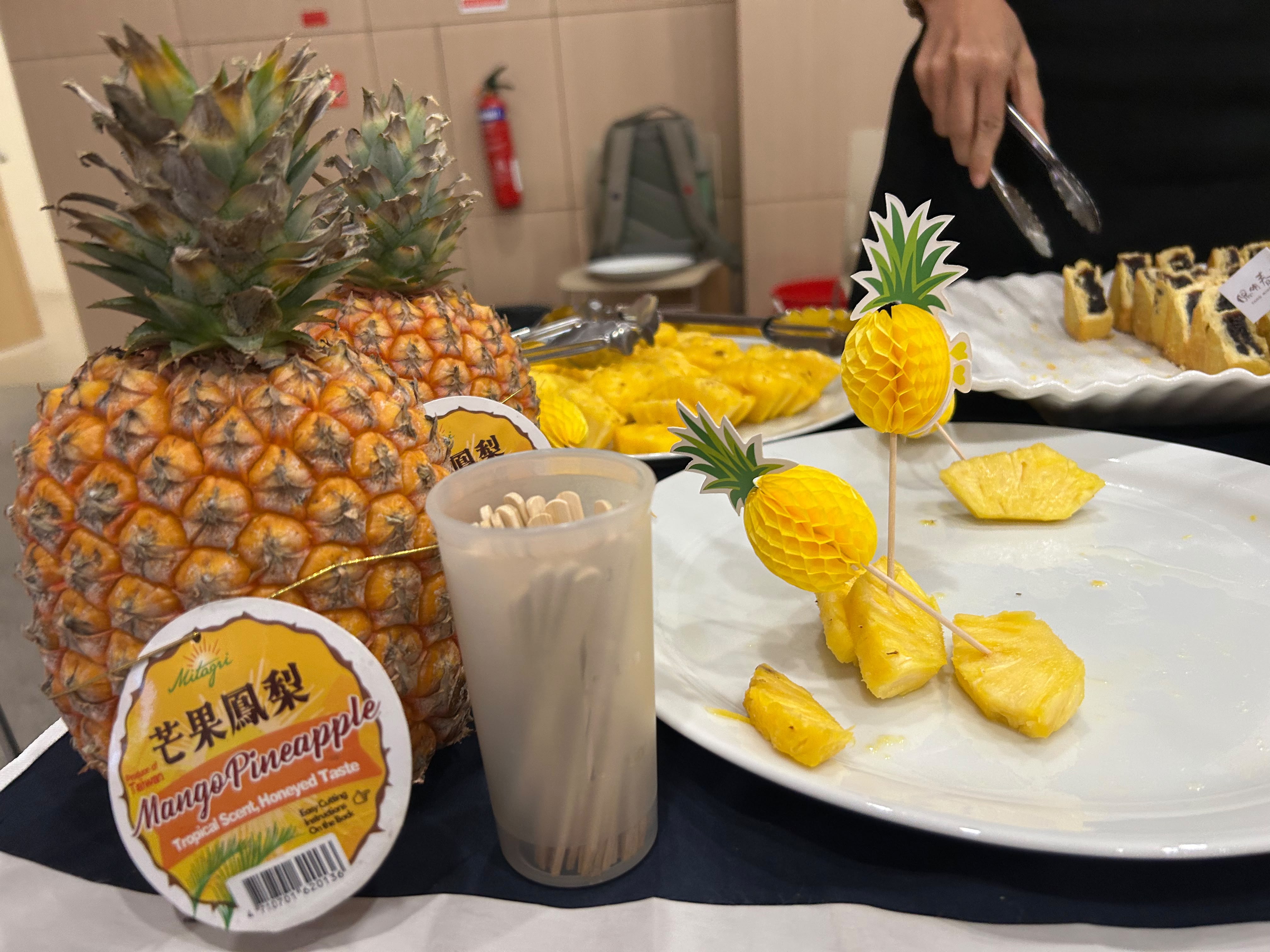 蔬食教育論壇於新加坡慈濟舉行 跨界共探永續飲食未來